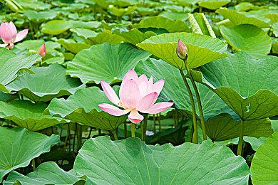 《双影奇境》即将被改编为电影